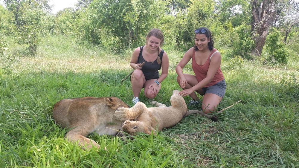 Maker:S,Date:2017-8-27,Ver:6,Lens:Kan03,Act:Lar02,E-ver